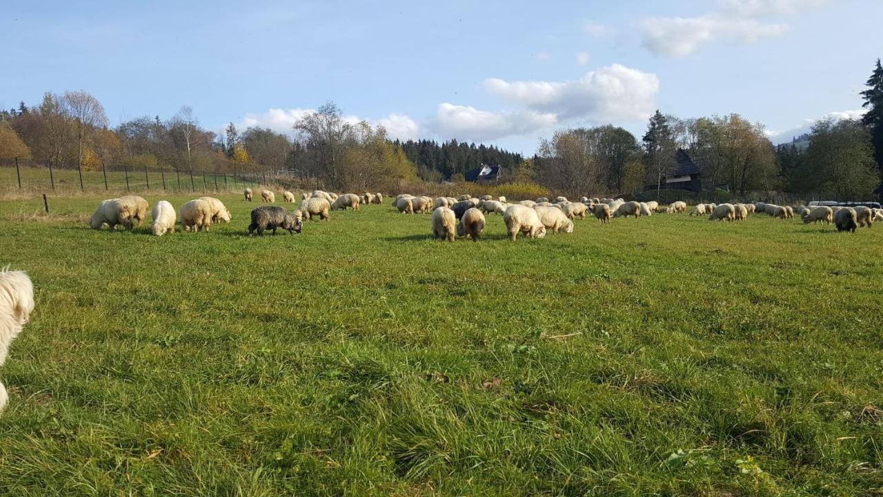 Villa Jagodovo Biały Dunajec Kültér fotó