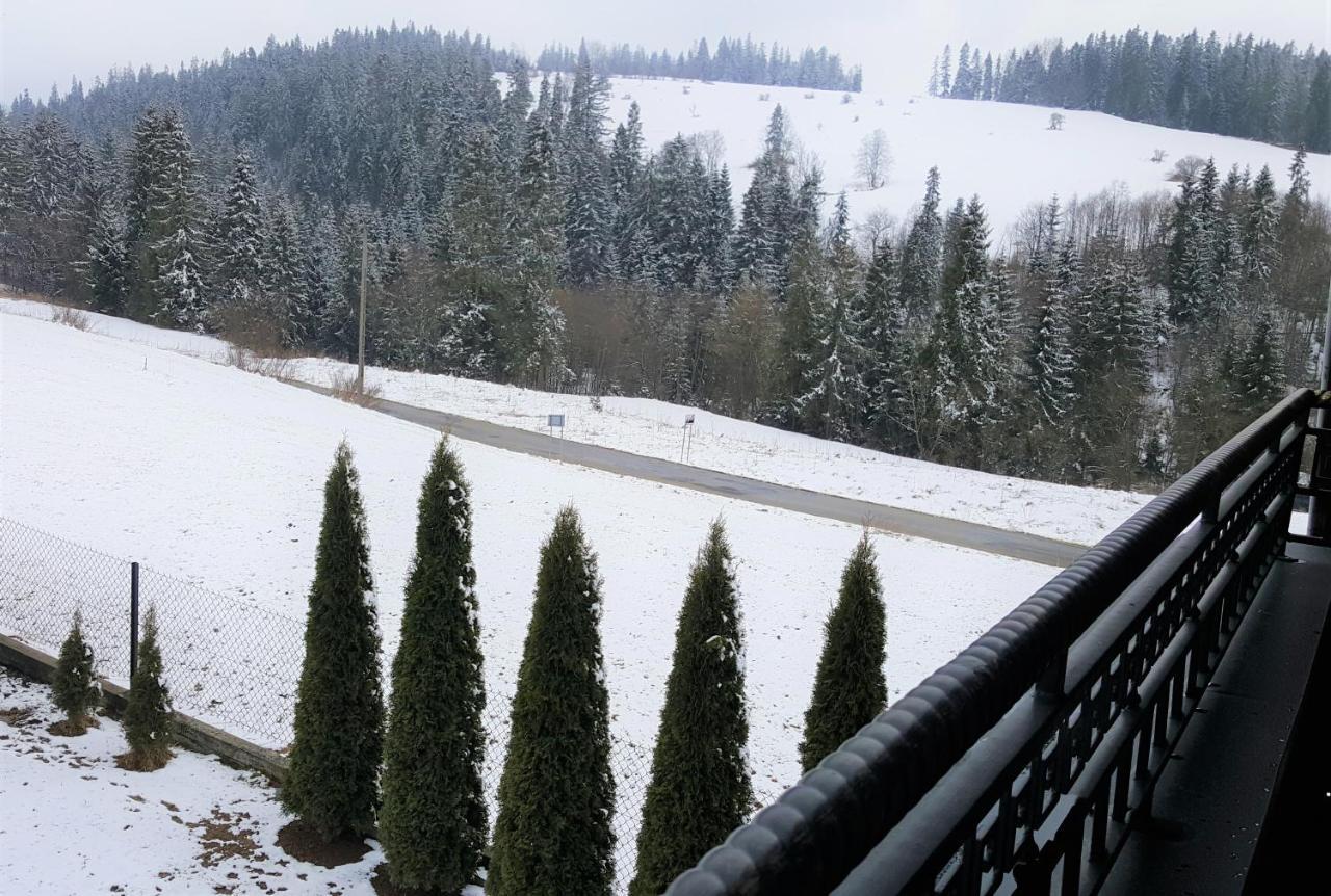 Villa Jagodovo Biały Dunajec Kültér fotó