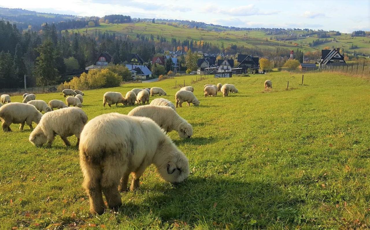 Villa Jagodovo Biały Dunajec Kültér fotó